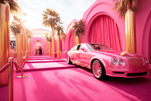 Load image into Gallery viewer, Barbie backdrops for photography