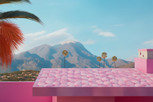 Load image into Gallery viewer, Barbie backdrops for photography
