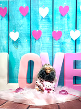 Load image into Gallery viewer, Valentine’s Hoodie hearts sweater fur hoodie for fashion dolls
